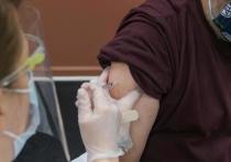 В первые дни января сделать прививку от коронавируса можно будет в двух пунктах вакцинации Йошкар-Олы.