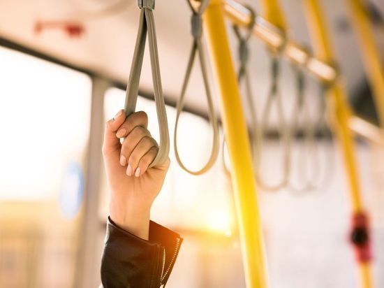 Новый автобус будет курсировать между Красным Селом, «Проспектом Просвещения» и «Автово» с 1 июня 2022 года