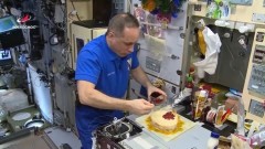 Космонавты приготовили селедку под шубой на орбите: новогоднее видео 