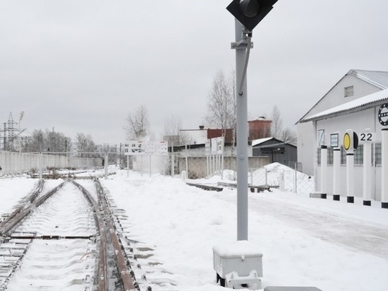 Пенсионерка из Ленобласти попала под электричку у Старой Деревни