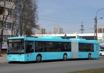 Дополнительные автобусы пустят на одном из участков маршрута №127 в Приморском районе с 10 января. Об этом рассказали в преддверии новогодних каникул в Комитете по транспорту.