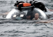 Президент Владимир Путин подписал утвердил закон о запрете в РФ промышленного рыболовства в отношении китообразных - дельфинов и китов, включая белух, кашалотов, нарвалов, косаток и морских свиней