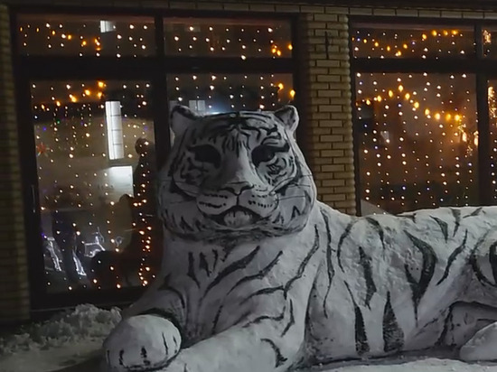 В Харцызске из снега появился белый тигр