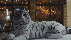 На улице Харцызска появился огромный белый тигр