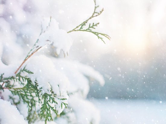 31 декабря туляков ждёт небольшой снег и тёплая погода
