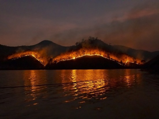 В США начали эвакуацию десятков тысяч жителей из-за масштабных лесных пожаров