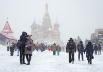 Ведущий специалист центра погоды "Фобос" Александр Синенков предупредил москвичей, что в самом начале 2022 года в столицу начнут возвращаться морозы