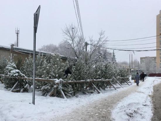В Саратове за несколько часов до Нового года продавцы не снижают цены на ёлки