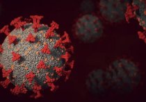 Некоторые ультраправые приверженцы теории заговоров считают, что новый штамм коронавируса «омикрон» является ключом к прекращению пандемии