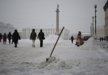 Чиновники Жилищного комитета Петербурга проверили шесть районов города на предмет уборки снега. Горожан заверили — к полуночи последствия ночного снегопада ликвидируют.