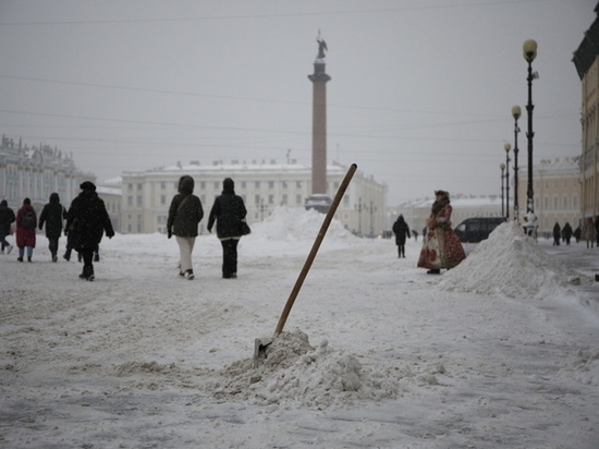 Петербуржцам пообещали, что город встретит Новый год без снежных завалов