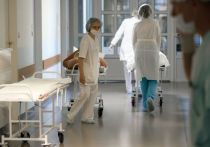 Более 380 человек за сутки в Петербурге доставили в больницы с коронавирусом. Об этом говорит статистика оперативного штаба по борьбе с COVID-19.