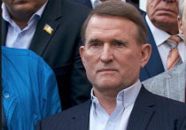 Депутат Верховной Рады Украины Виктор Медведчук заявил, что его вынуждали уехать из страны