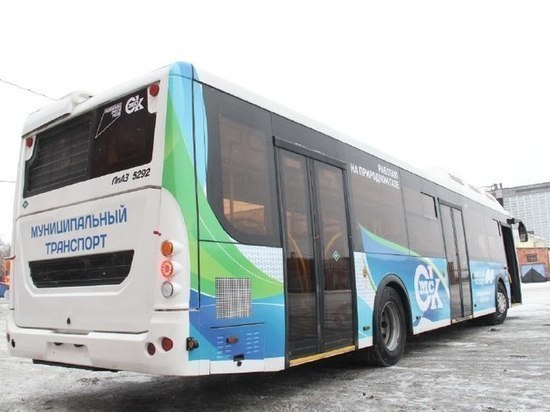Новые автобусы выйдут на дороги Омска только в феврале
