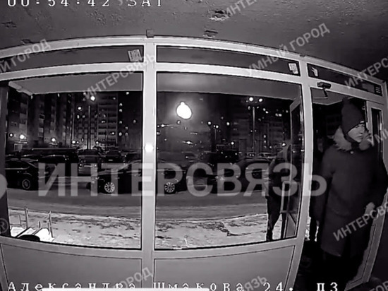 В Челябинске хулиганы подожгли петарду в подъезде, от взрыва выбило дверь и стекла