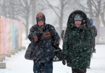 В Москве "нормальная зима" закончится вместе с январем, заявил ведущий сотрудник центра погоды "Фобос" Евгений Тишковец