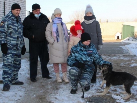 Кинолог-Дед Мороз исполнил мечту сестер из Читы и познакомил их с Жуком