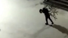 Видео, как мужчина крадет елку с площади в Переяславке
