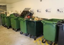 Около трети россиян раздельно собирают мусор и выбрасывают его в разные контейнеры – такую статистику со ссылкой на Российского экологического оператора (РЭО) приводит издание «РБК».