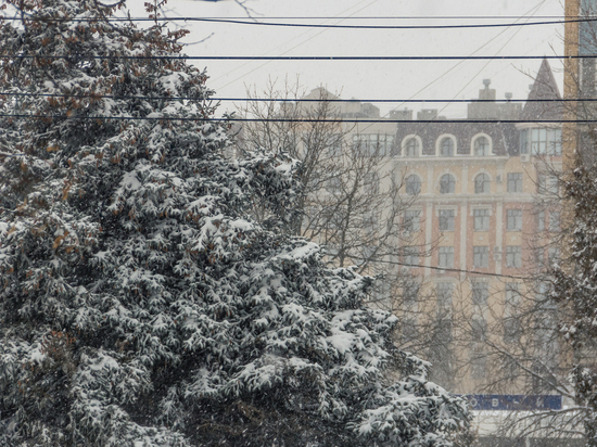 Сильные снегопады парализовали движение на трассе в Рязанской области