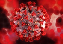 За прошедшие сутки в Забайкалье зарегистрировано 93 подтвержденных случая заболевания коронавирусом, 368 выздоровлений и 9 смертей от этой болезни