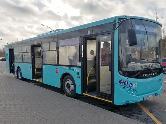 В Петербурге появится новый автобус от «Парнаса» до «Ручьев»
