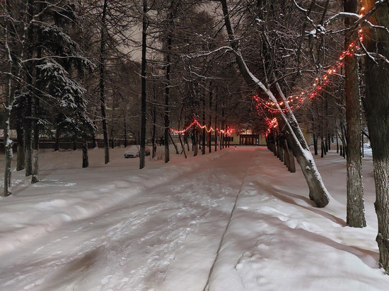 Ночью 4 января в Рязанской области ожидается до -20 градусов