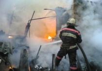 Трагедия в Шегарском районе Томской области произошла вчера, в понедельник 3 января: в селе Татьяновка вспыхнул пожар и, к сожалению, не обошлось без жертв.