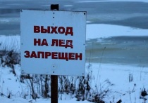 Костромские спасатели призывают рыбаков не рисковать с выездом на лед на автомобилях и снегоходах