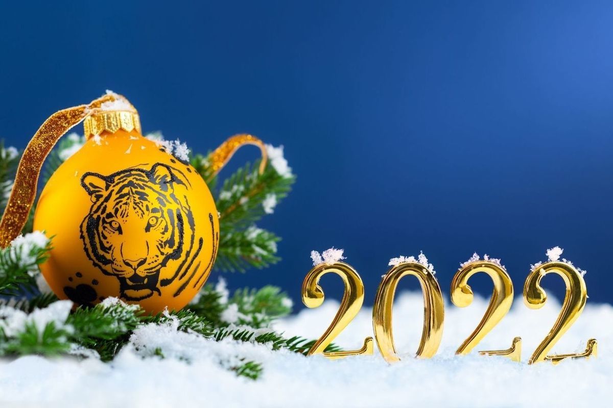 Педикюр на Новый год 2022 года голубого водяного тигра