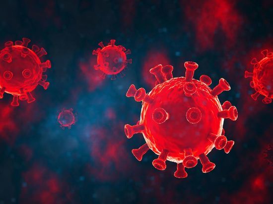 Число заболеваний коронавирусом в Мурманской области составило 90 за сутки
