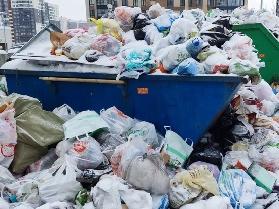 Новый мусорный оператор Петербурга извинился за посленовогодние завалы
