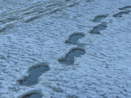 Жителей Ленобласти предупредили о мокром снеге и гололедице 5 января