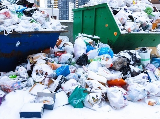 Региональный оператор назвал причину проблем с вывозом мусора в Петербурге