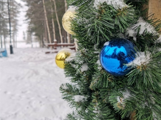 Семейный пробег на лыжах под Казанью перенесли на 8 января