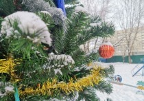 В среду, 5 января, в Хабаровске ожидается вполне приятная погода