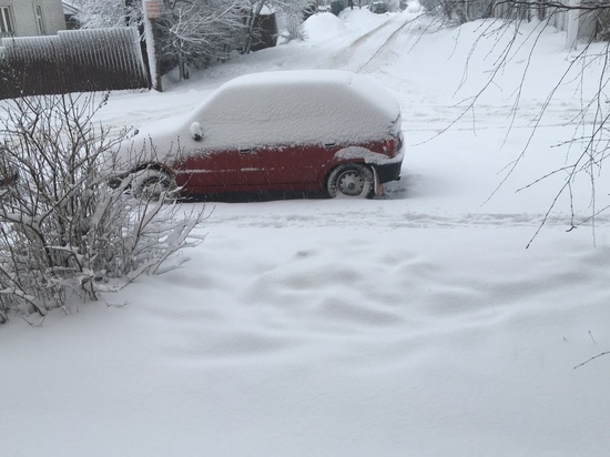 Январский четверг в Смоленске обещает снег и нулевые температуры