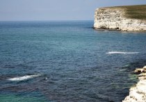 В Крыму появится парк с рифовыми акулами