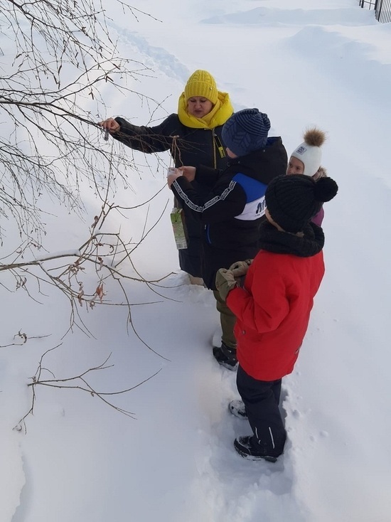 Крупа, изюм и сало: в поселке Ямала дети во время экоакции накормили птиц