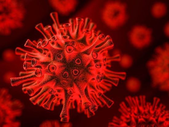 В Мурманской области коронавирусной инфекцией заразились еще 100 человек