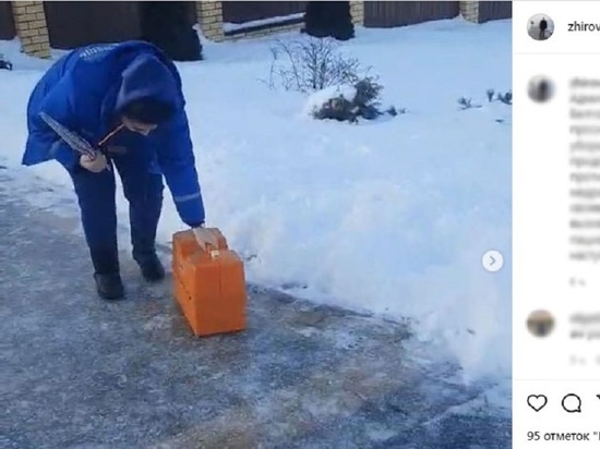 Главврач Станции скорой помощи попросил белгородцев убирать лед около домов