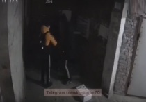Три подростка, крушивших почтовые ящики в подъезде общежития, попали в объектив камеры видеонаблюдения; юных вандалов теперь разыскивает полиция, пишет «АиФ – Томск» со ссылкой на местный телеграм-канал «Регион 70 Томск».