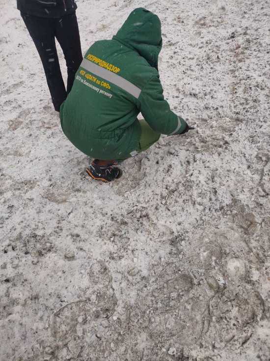 Депутат выявил сброс грязного снега в Енисей под Красноярском