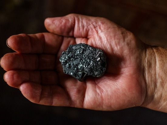 Президент России потребовал сделать цены на уголь в Алтайском крае доступными