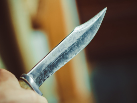Полиция задержала пенсионерку, набросившуюся с ножом на сожителя в Гатчинском районе