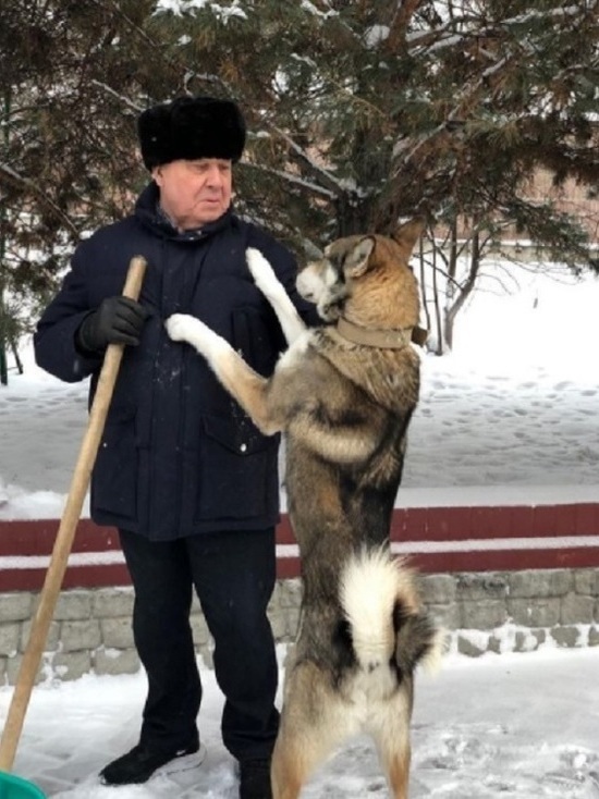 «Собака лает, караван идет»: экс-губернатор Омской области Полежаев высказался о беспорядках в Казахстане