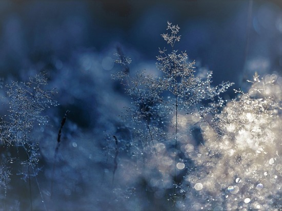 8 января в Туле будет от -11 до -3 градусов мороза