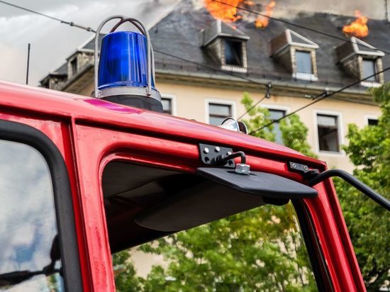 В историческом доме в Рыбачьем во время пожара пострадала женщина и погибли животные