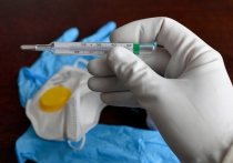 Ученые Китайской академии наук в Пекине решили, что штамм коронавируса "Омикрон" возник не в теле человека
