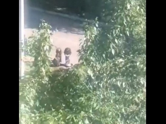 Читинку оштрафовали на 20 тысяч рублей за сокрытие убийства подруги
